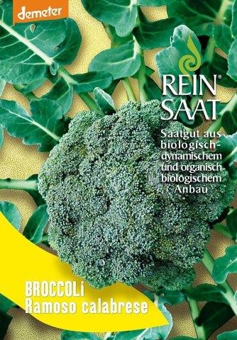 Bio-Saatgut Broccoli 'Ramoso calabrese' - raimund Biogartenbedarf