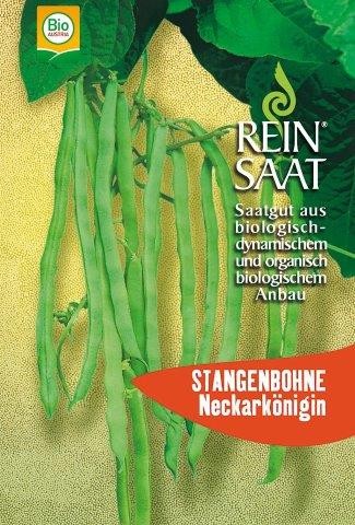 Bio-Saatgut Stangenbohne 'Neckarknigin' - raimund Biogartenbedarf