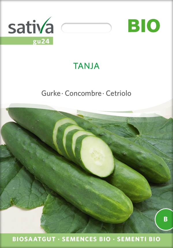 Bio-Saatgut Salatgurke 'Tanja' SAT - raimund Biogartenbedarf