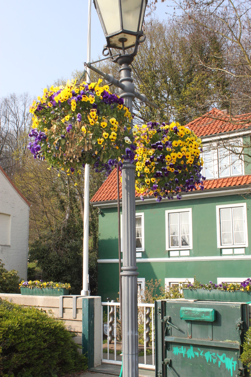 le printemps