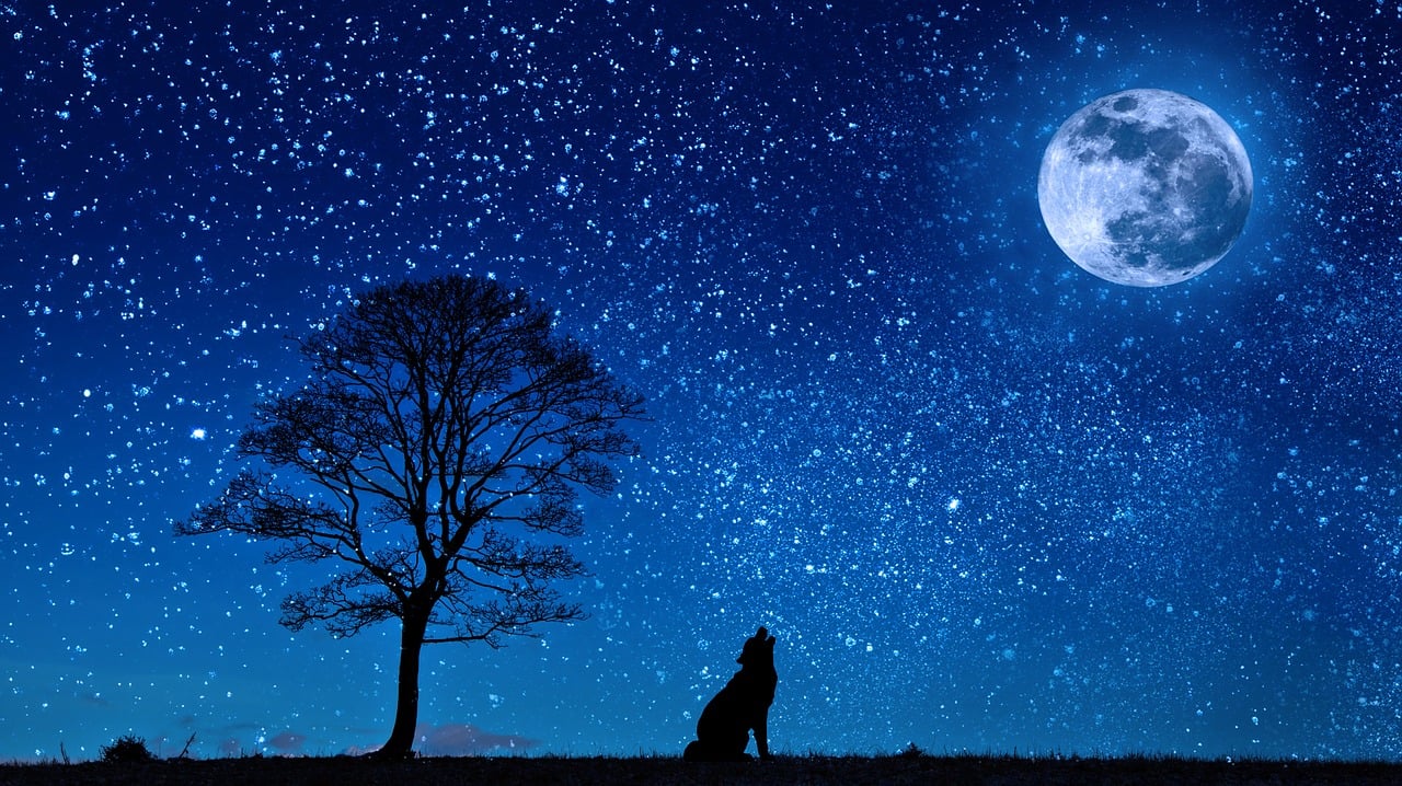 Pleine Lune Capricorne / Cancer