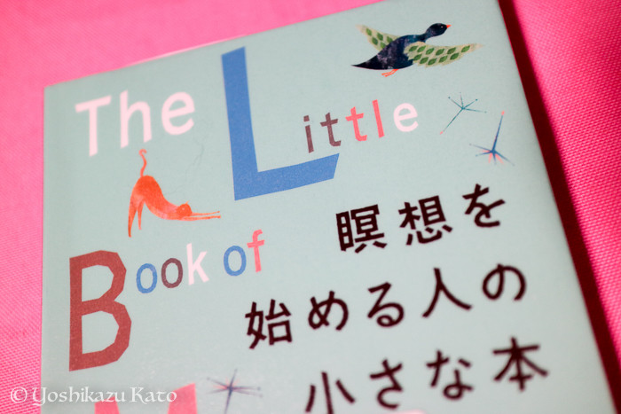 挿絵が美しい。表紙のトーンのまま全編いきます。