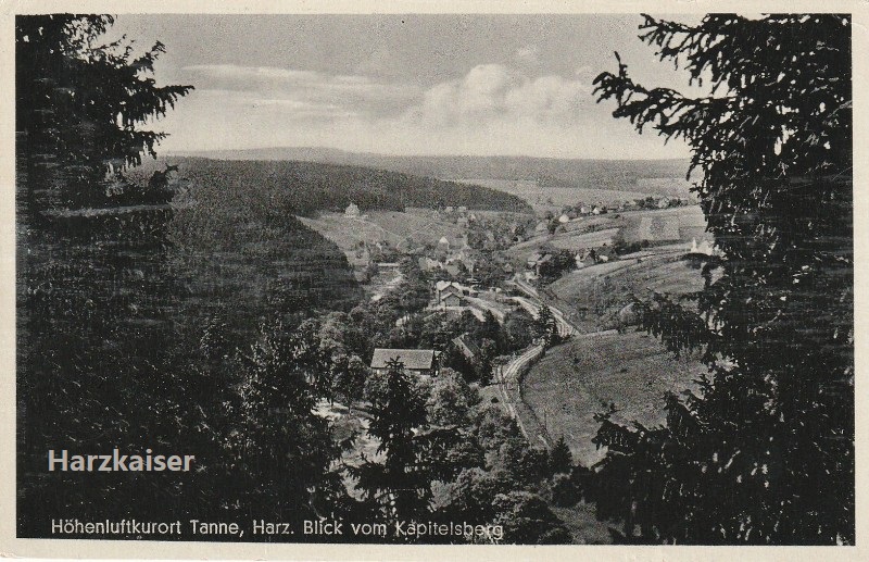 Tanne vom Kapitelsberg 1940