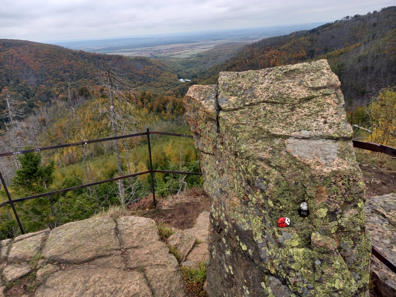 Ausblick 2025
