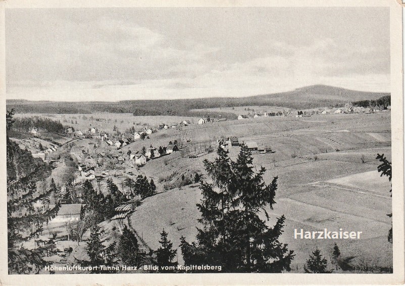 Tanne vom Kapitelsberg um 1940