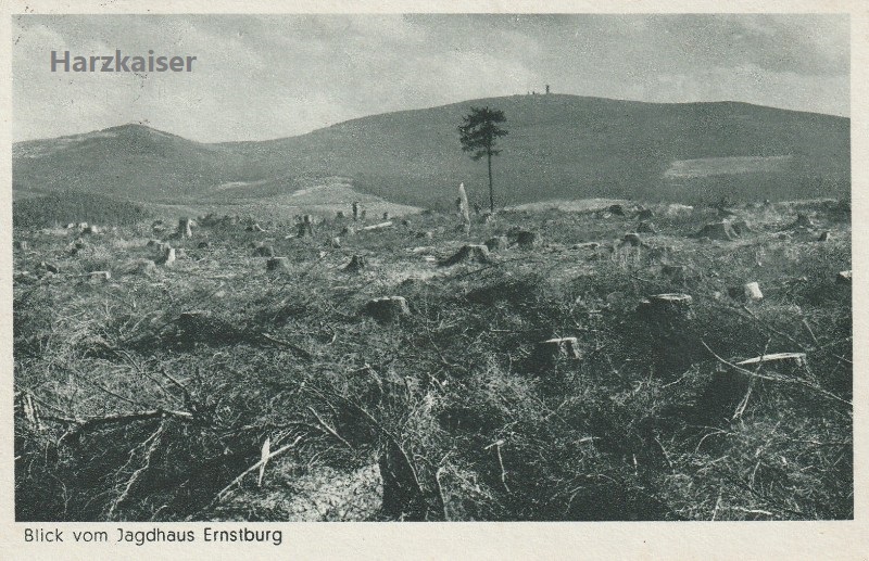 Blick vom Jagdhaus Ernstburg 1943