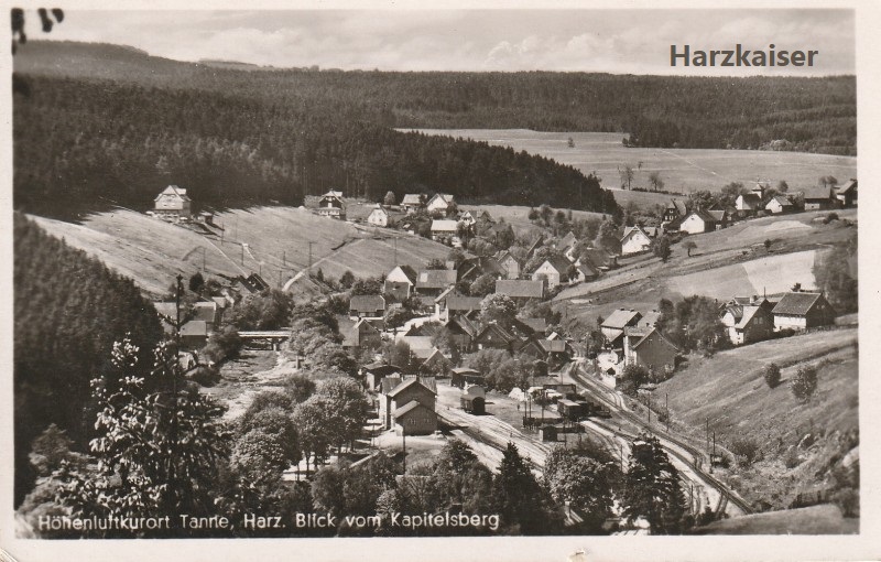 Tanne vom Kapitelsberg um 1940