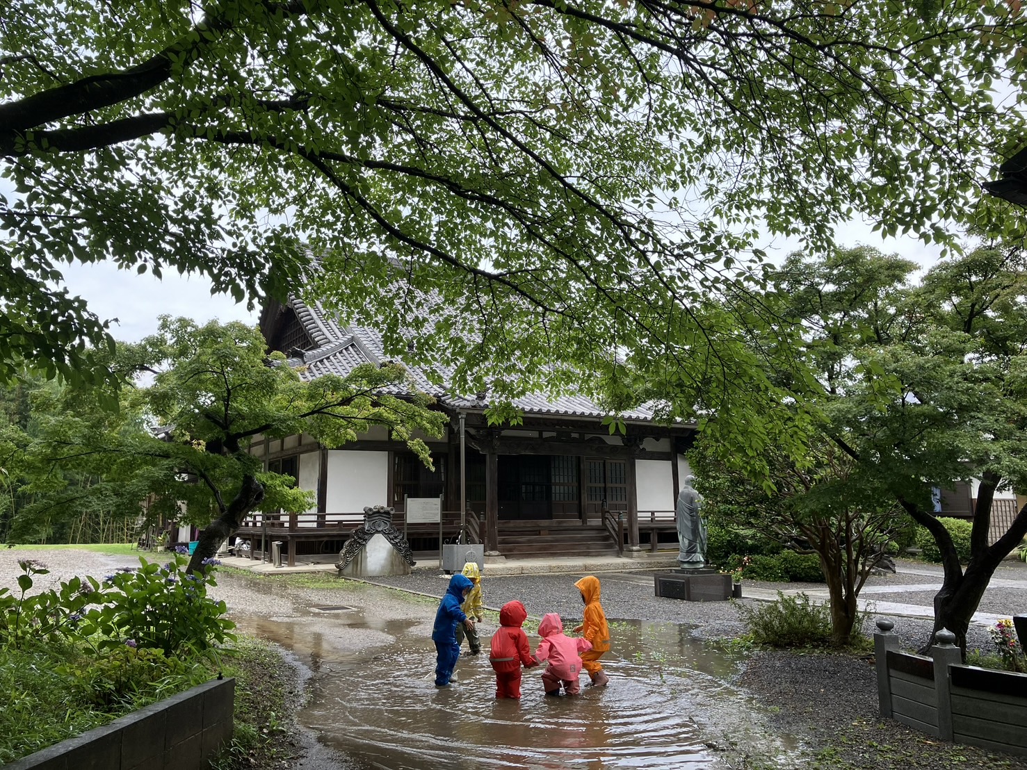 里山保育 たねちっち
