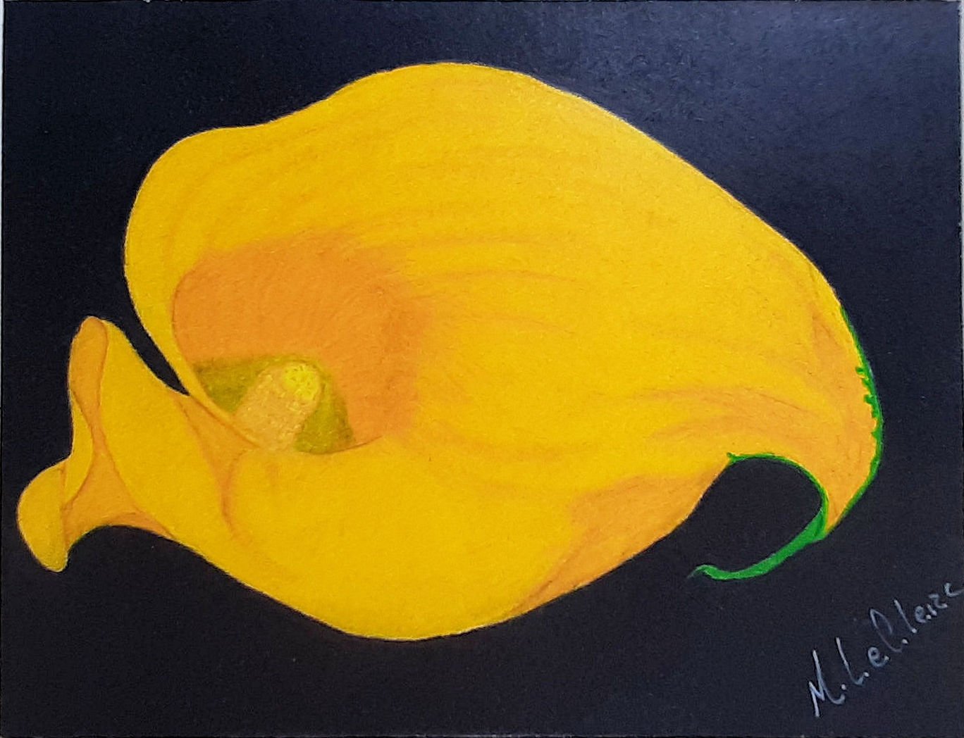 Jaune bonheur
