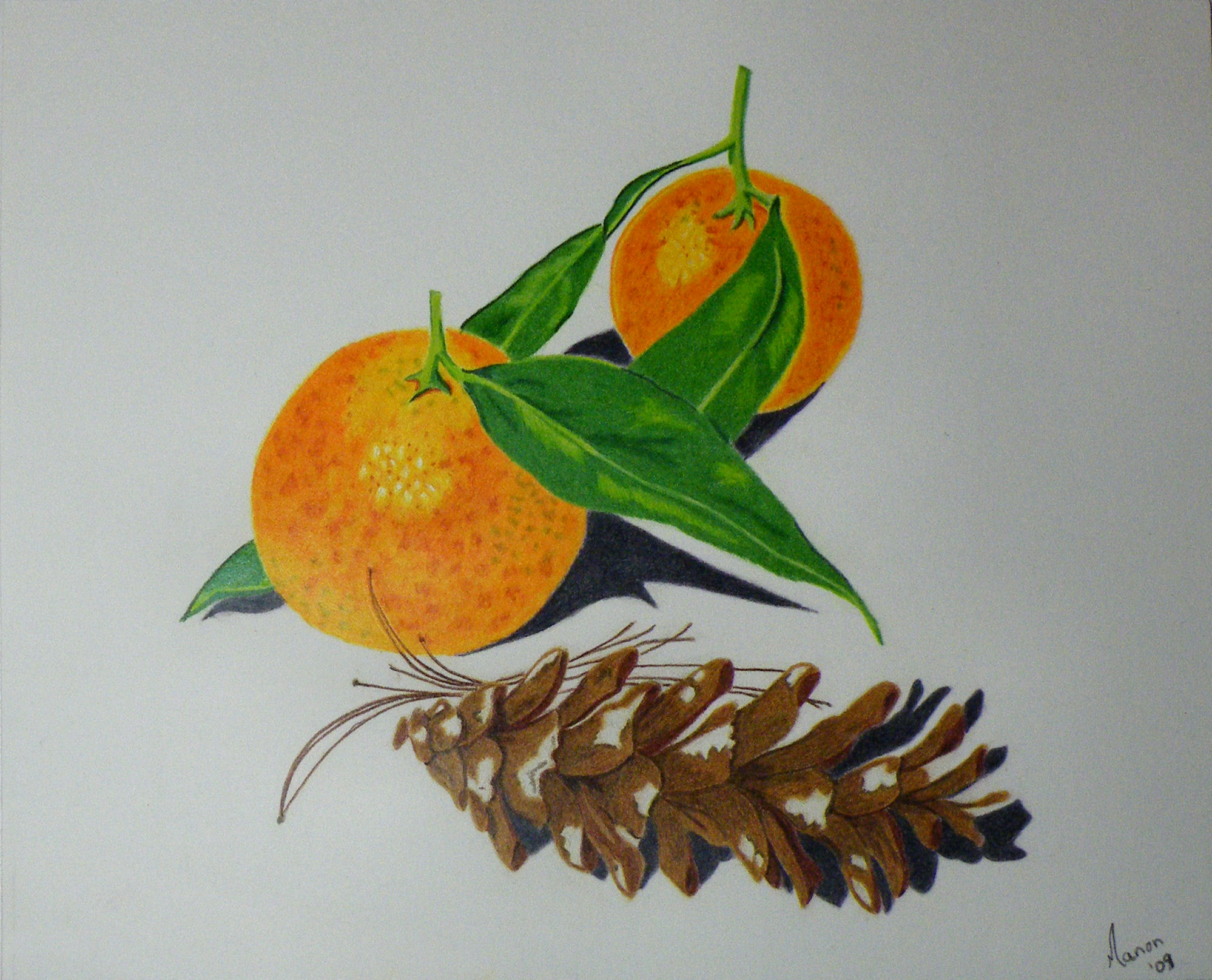 Clémentines et pommes de pin / D'après une leçon d'aquarelle de Claire Felloni.