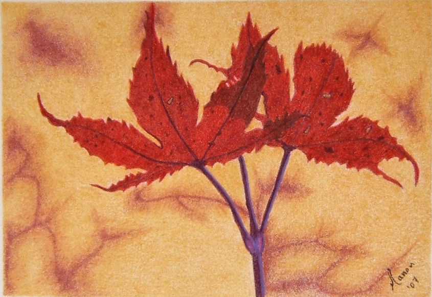 Automne 