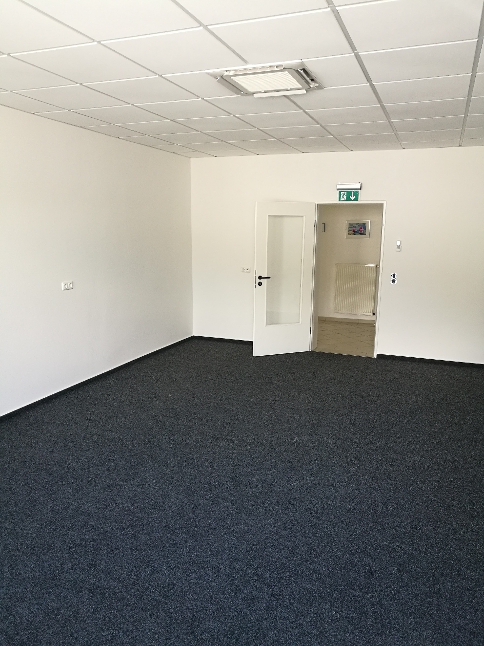 Rasterdecke und Nadelvilz