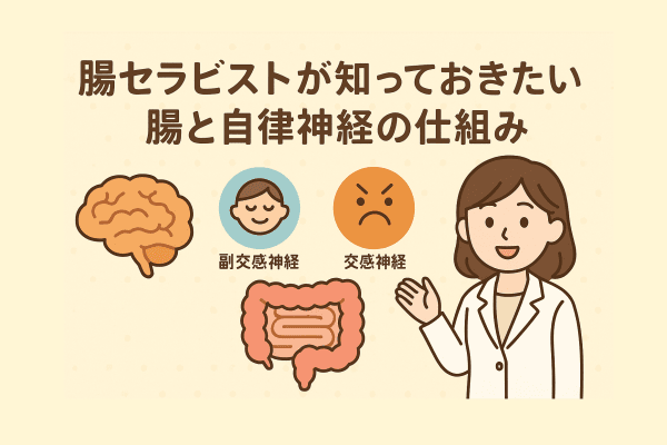 腸セラピストが知っておきたい腸と自律神経の仕組み
