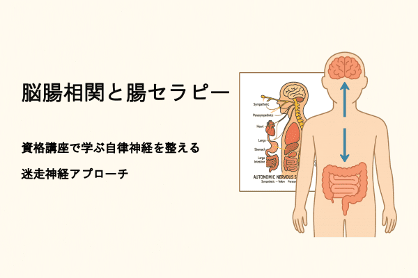 脳腸相関と腸セラピー|資格講座で学ぶ自律神経を整える迷走神経アプローチ