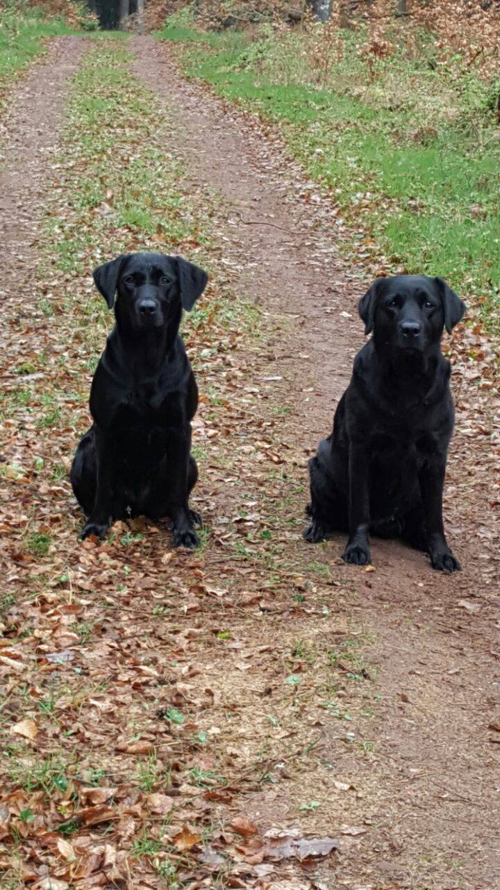 Lotte mit 3 Jahren und Luna