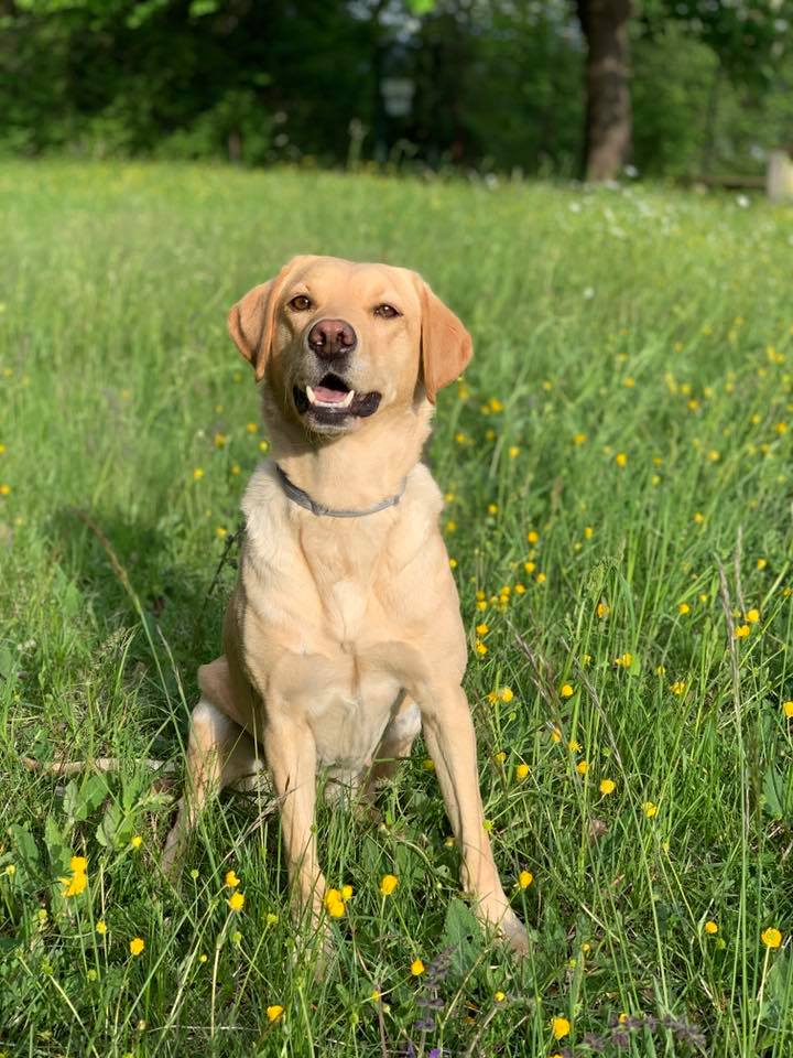 Zoe mit 3 Jahren