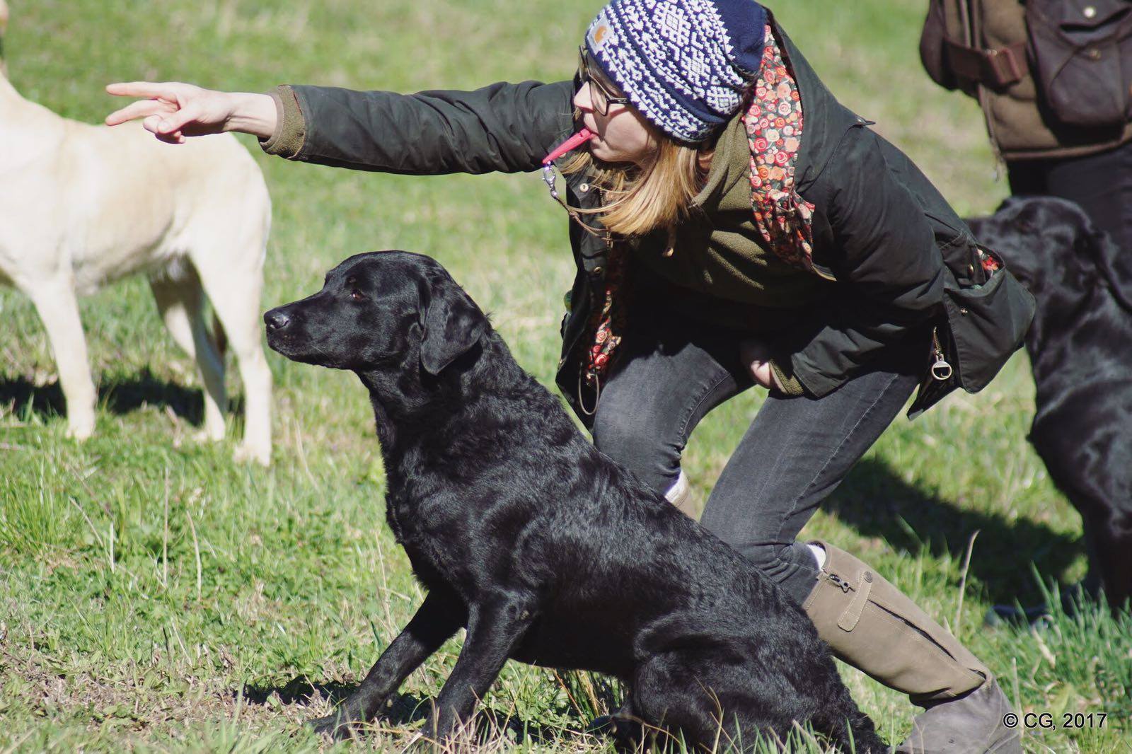 Murpyh beim Training im Frühjahr 2017