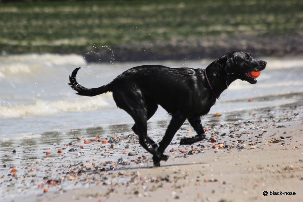 Lotte im Urlaub mit knapp 1.5 Jahren