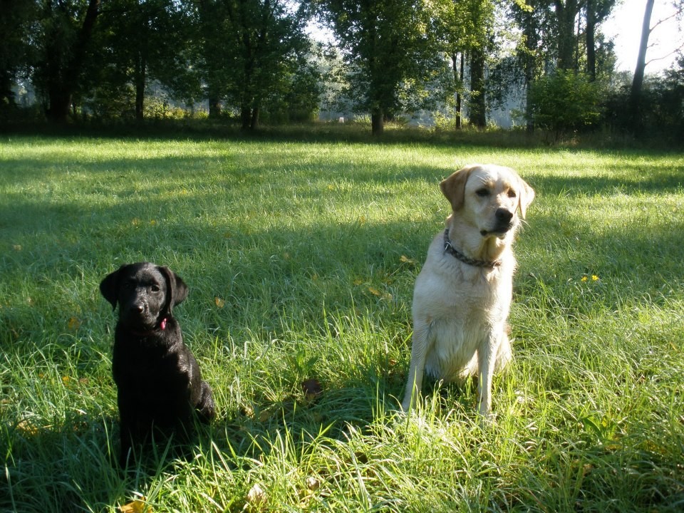 Clover mit 14 Wochen und mit ihrer Bonnie