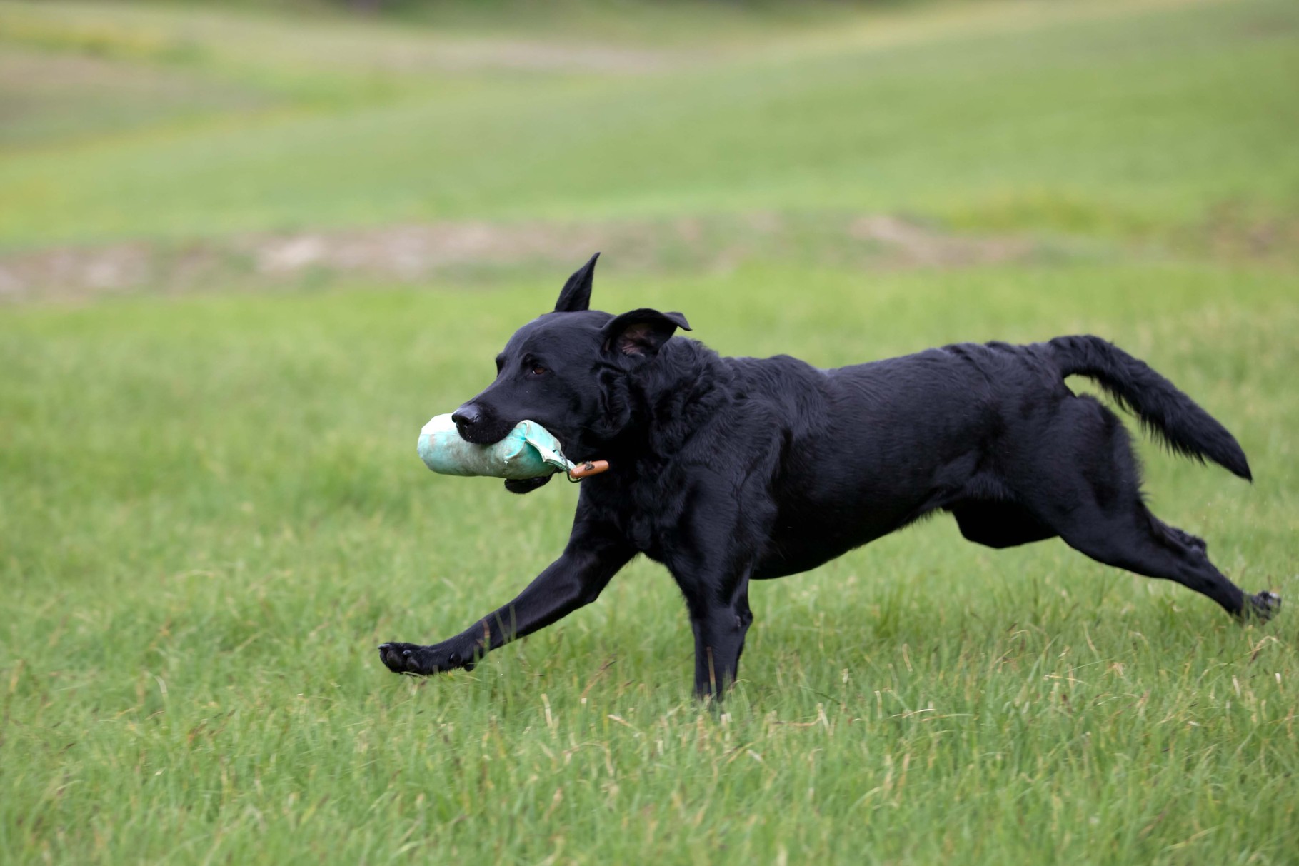 Murphy mit 23 Monaten