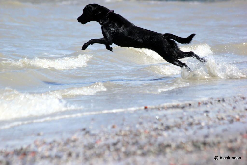 Lotte im Urlaub mit knapp 1.5 Jahren