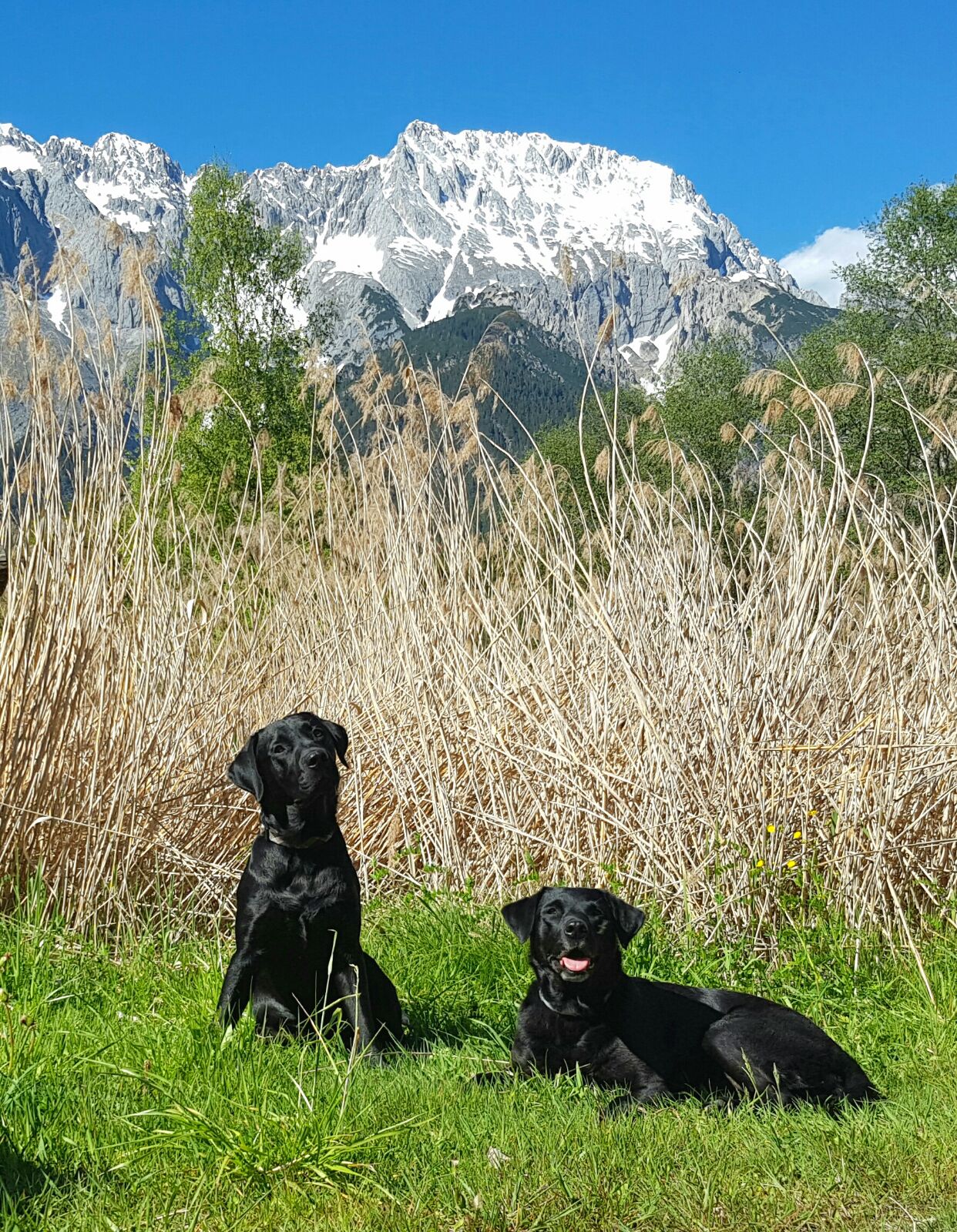 Darwin (12 Monate) mit Mama Ivy 