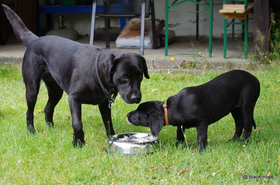Luna und Lotte