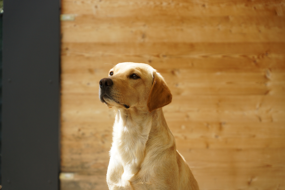 Zoe mit 2 Jahren