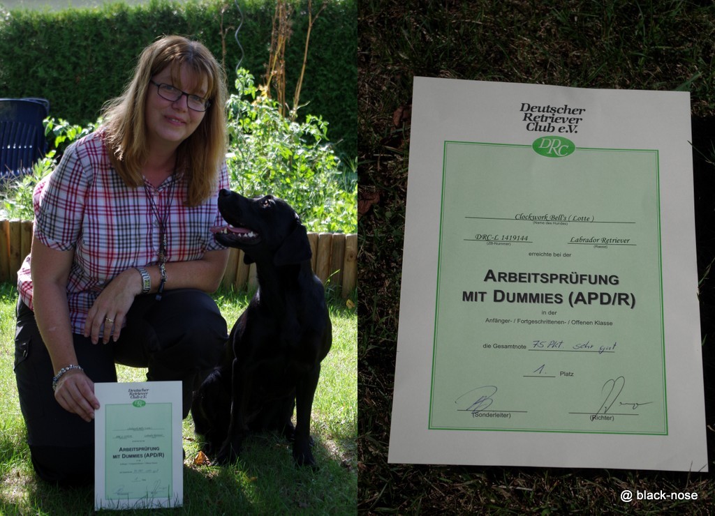 Lotte gewinnt die Dummy A mit knapp 1.5 Jahren