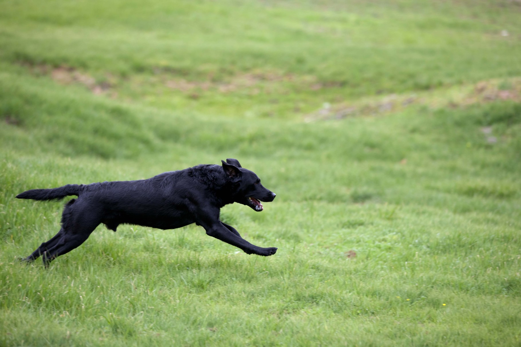 Murphy mit 23 Monaten