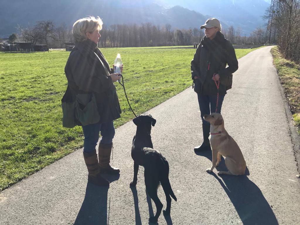 Eddy begleitet seine Halbschwester