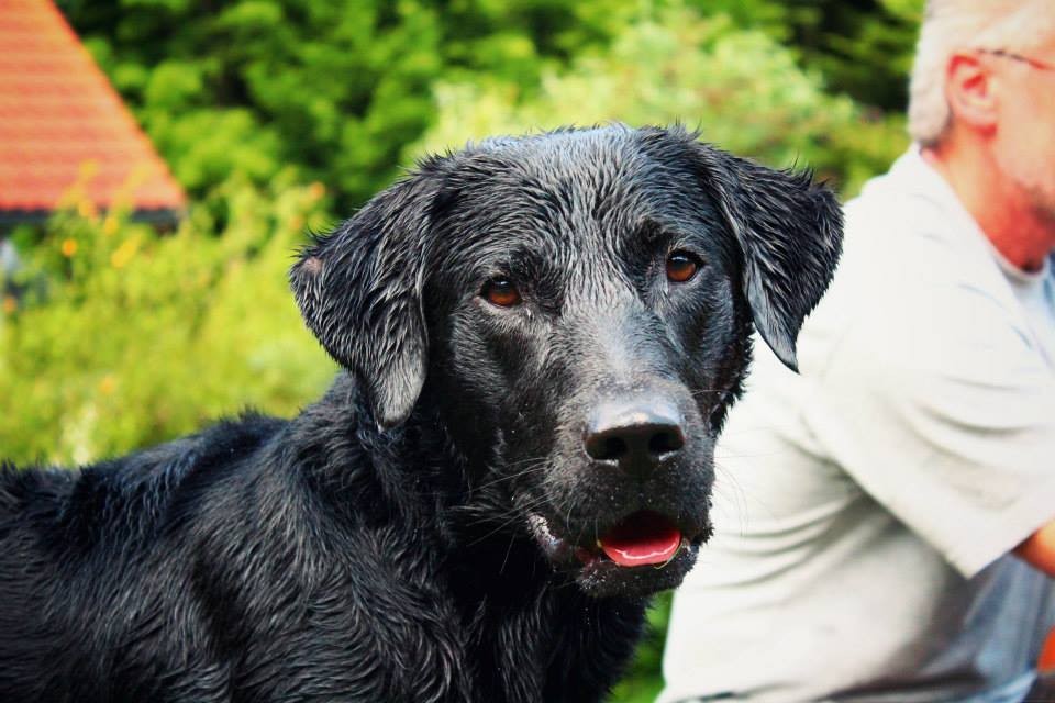 Murpyh mit 1 Jahr