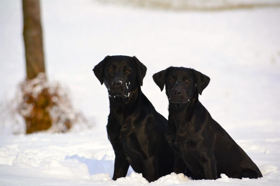 Lina und Aiden 