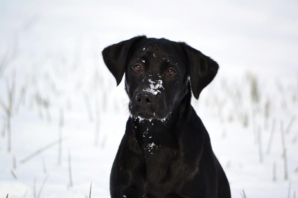 Aiden mit 5.5 Monaten im Schnee