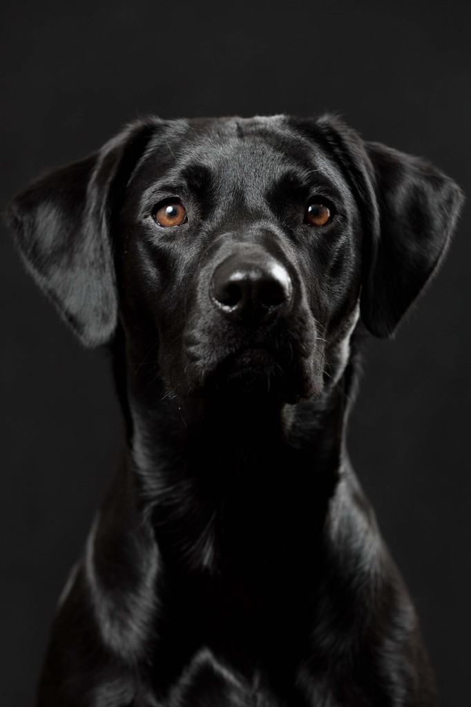 Sage beim Fotoshooting (Dez/2013)