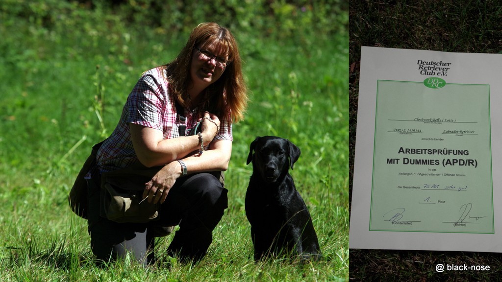 Lotte gewinnt die Dummy A mit knapp 1.5 Jahren