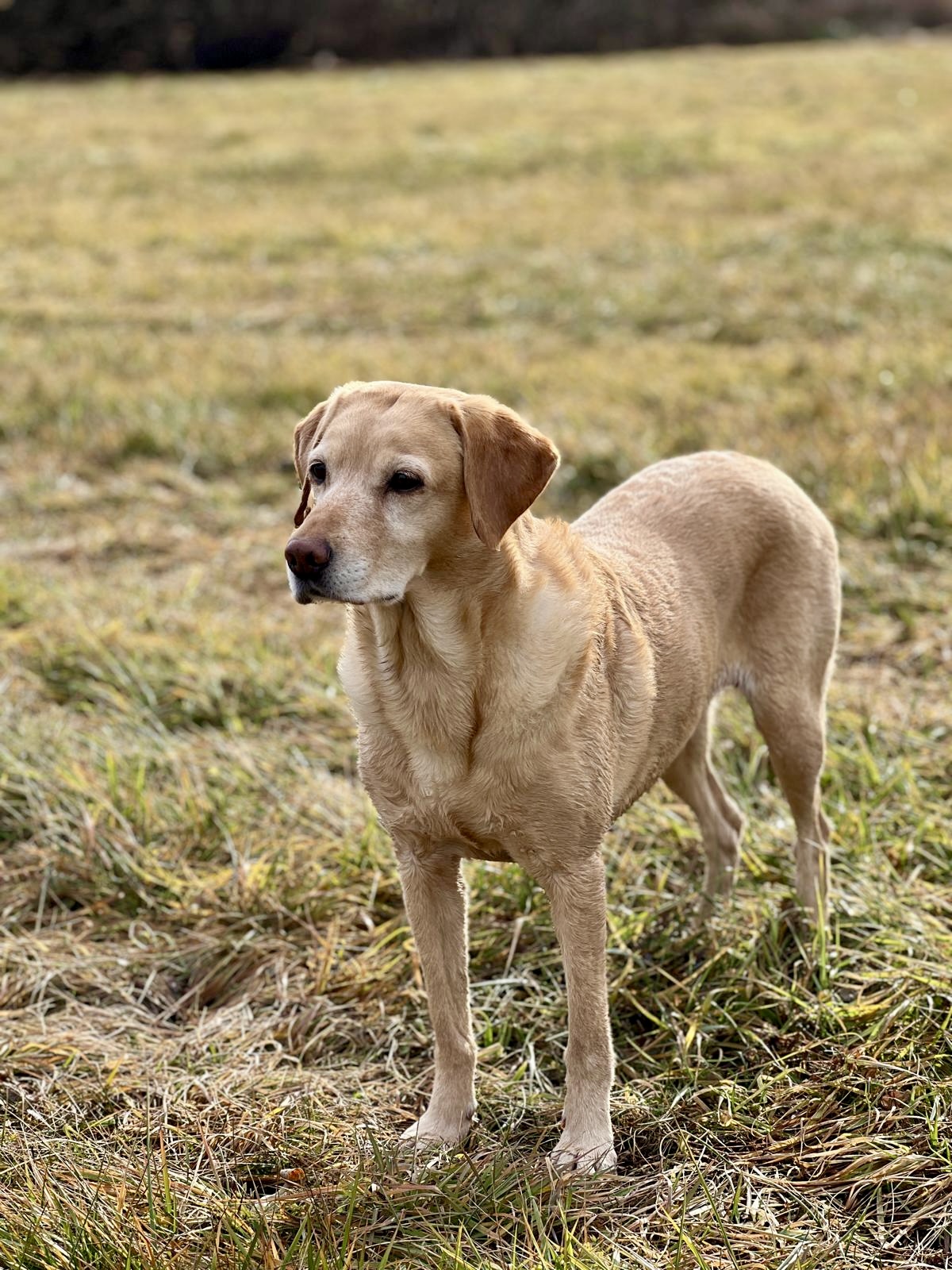 Zoe mit fast 9 Jahren
