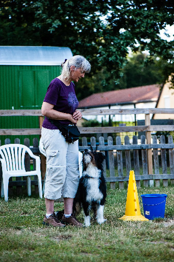 Hundeschule GOOD DOGS - Erziehung - Beschäftigung - Crossdogging - Spaß mit dem Hund