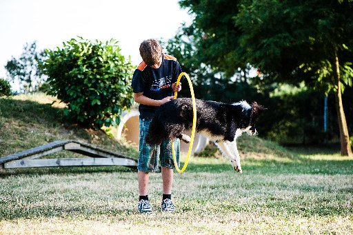 Hundeschule GOOD DOGS - Erziehung - Beschäftigung - Crossdogging - Spaß mit dem Hund