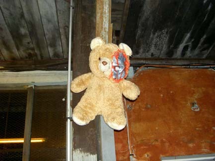 poor Teddy bear!!