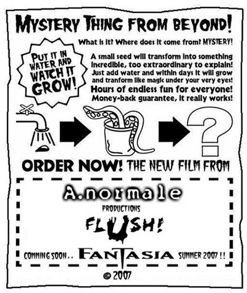 Flyer Fantasia
