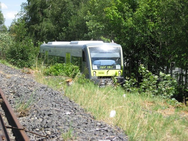 Agilis aus Richtung Selb Nähe Stopselbude