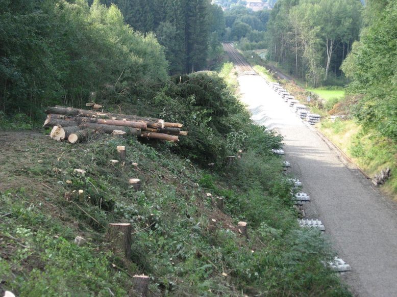 Holzfällarbeiten an der Bahnlinie Selb-Plößberg - Schönwald nördlich der WUN 15