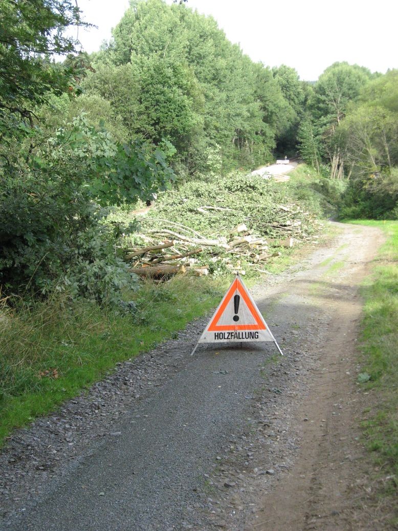 Hinweisschild auf Holzfällarbeiten