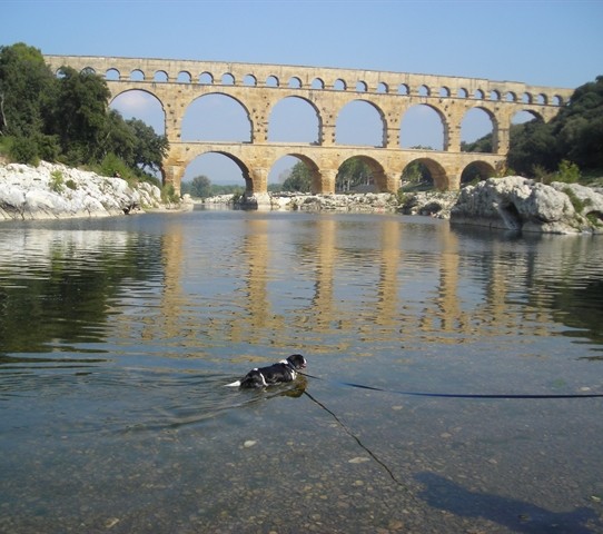 Paddling below Le Pont du Gard