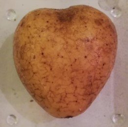 Veganes Pürree | Alternative zu Kartoffelpürree