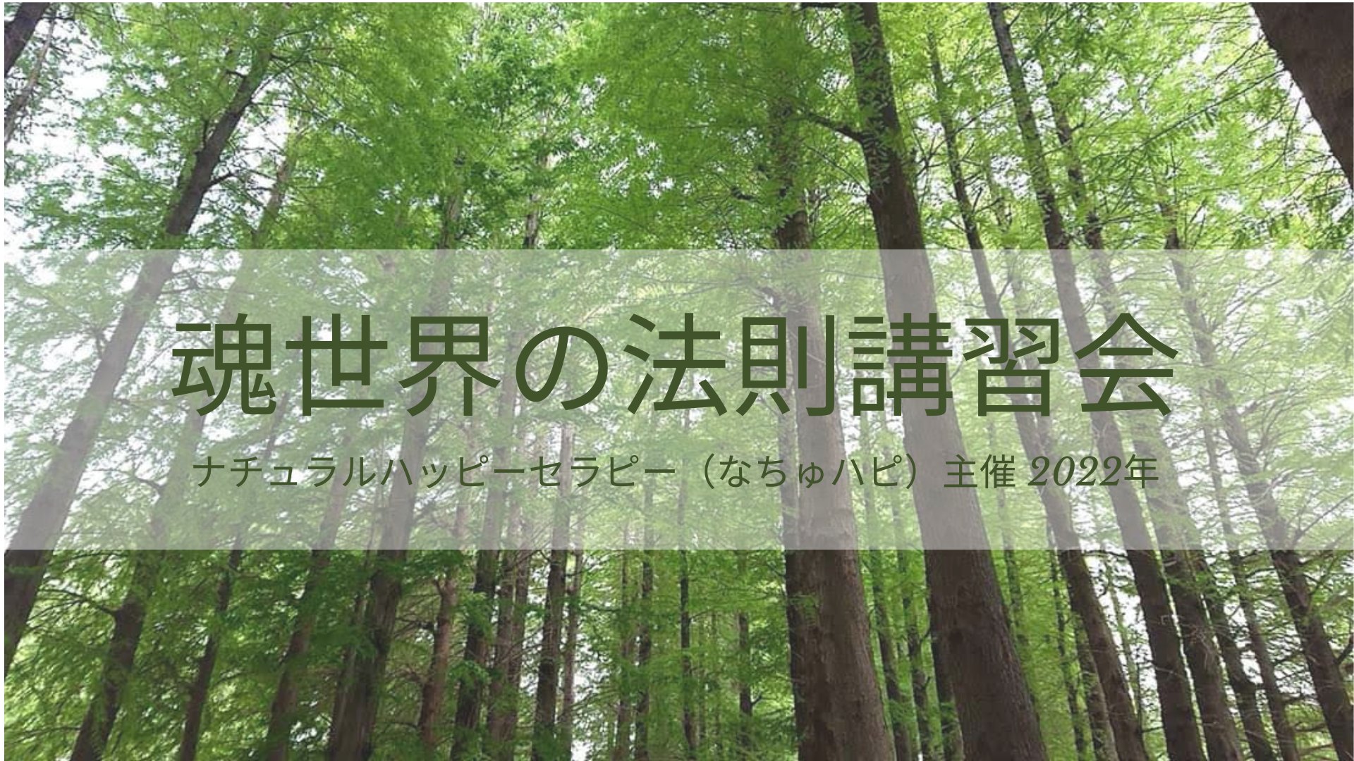 2022年11月28日（月）魂世界の法則講習会inZOOMの参加者募集のお知らせ