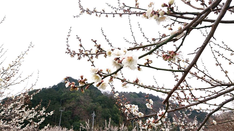 今自分ができること。不平不満よりも、今あることに感謝してみませんか？（感謝業のやり方）