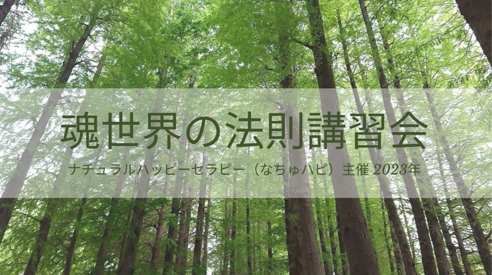 【募集終了】2023.12.13（水）魂世界の法則講習会inZOOMの参加者募集のお知らせ