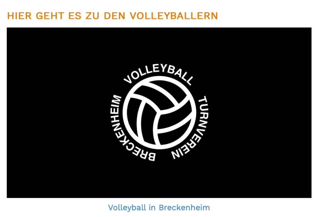 Hier geht's zur Homepage der Volleyballer